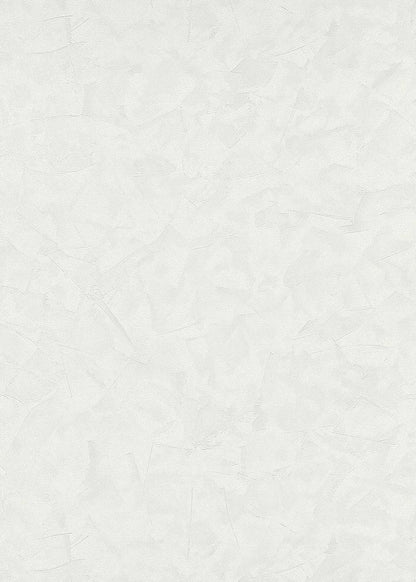 Carta da parati spatolato Bianco cangiante in TNT