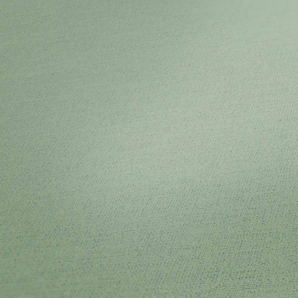 Carta da parati Verde Chiaro