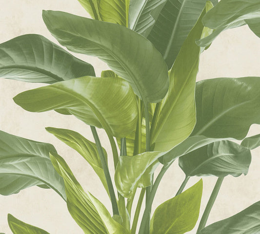 Carta da parati Jungle Green Leaves