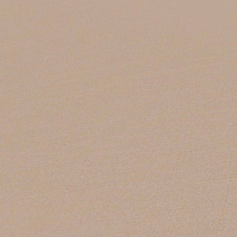 Carta da parati Tortora