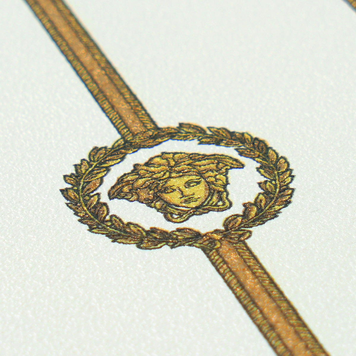 Carta da parati Versace Boiserie Luxury 1
