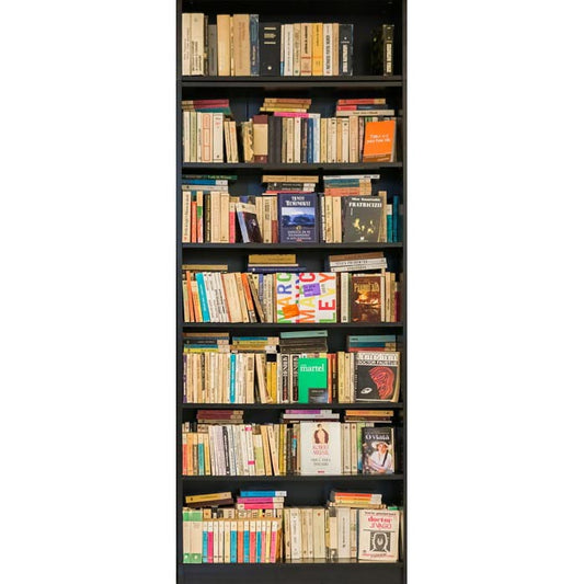 Adesivo per porta Libreria Moderna