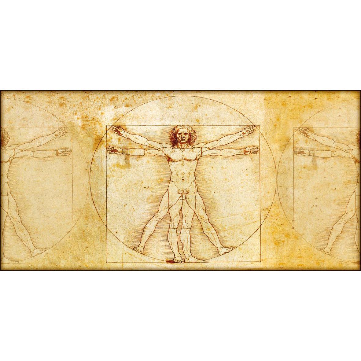 Quadro d’autore Leonardo L'Uomo Vitruviano su tela