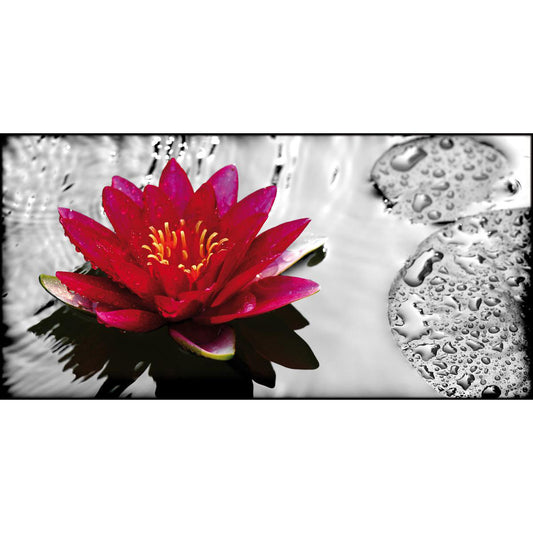 Quadro floreale Fiore di Loto Rosso Quadro su tela