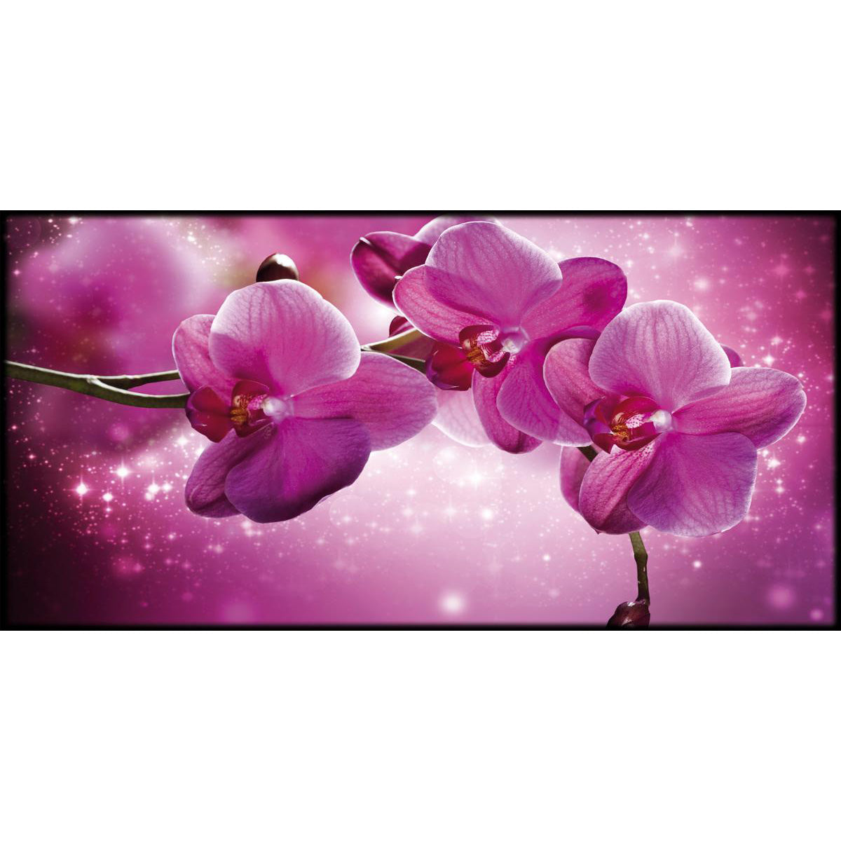 Quadro floreale Orchidee Fucsia su tela