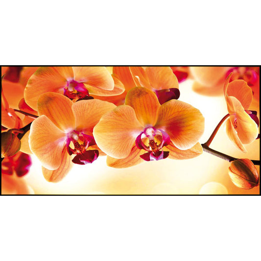 Quadro floreale Orchidee Arancio su tela