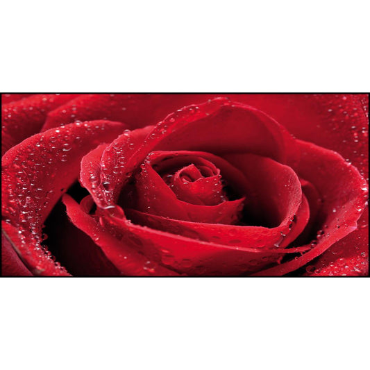 Quadro floreale Rosa Rossa su tela
