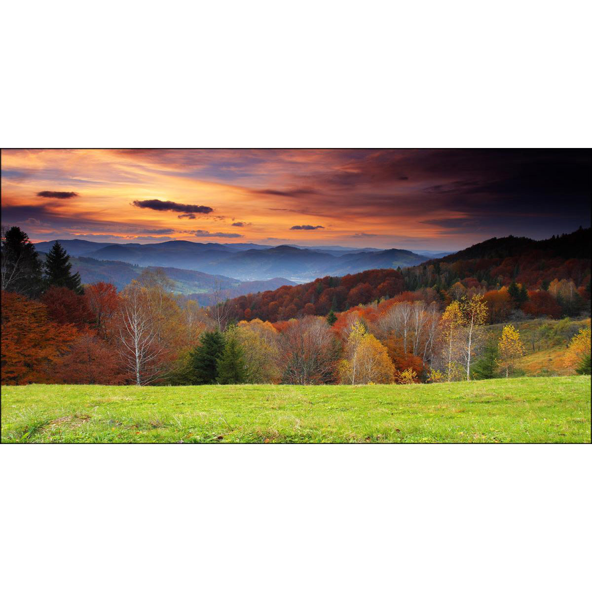 Quadro paesaggio Colori d'Autunno su tela