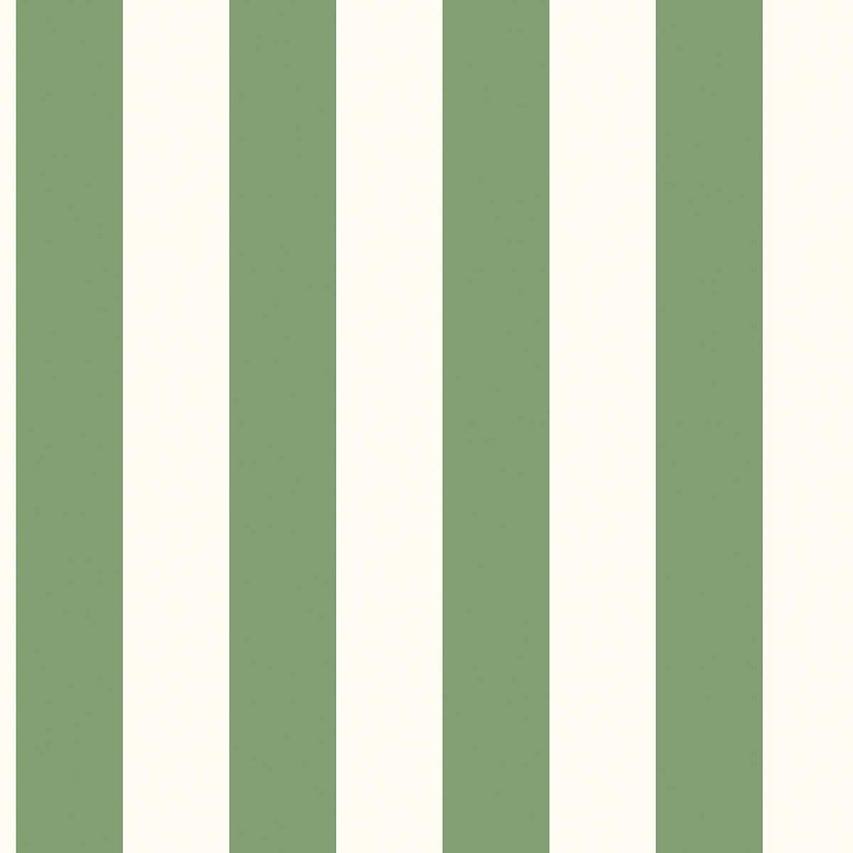 Carta da parati a righe Verde e Bianco in TNT