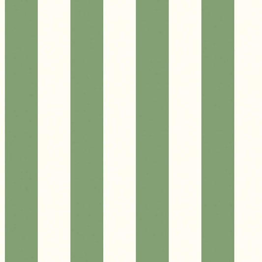 Carta da parati a righe Verde e Bianco in TNT