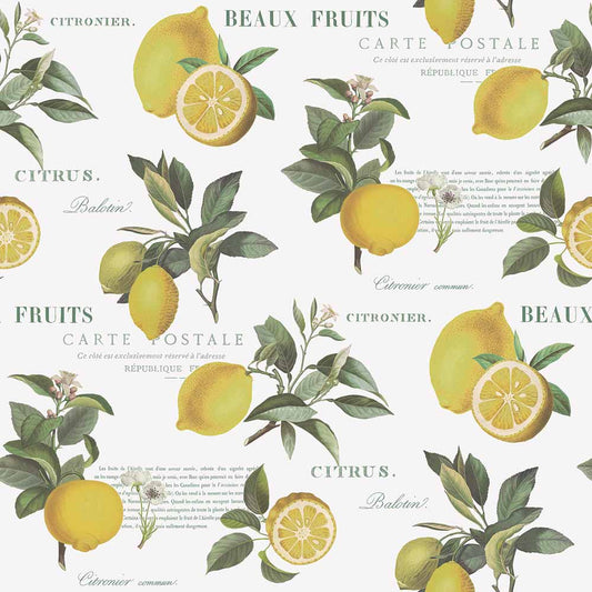 Carta da parati Limoni sfondo bianco