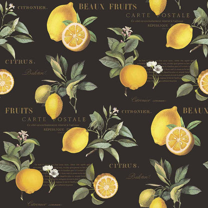 Carta da parati Limoni sfondo nero