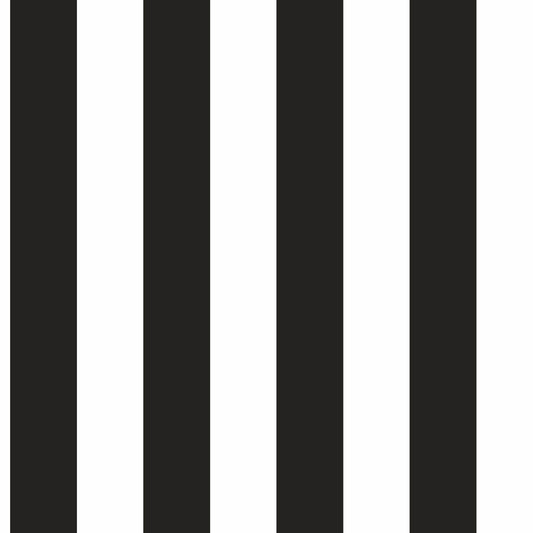 Carta da parati a righe Nero e Bianco in TNT