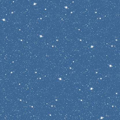 Carta da Parati Cielo Stellato