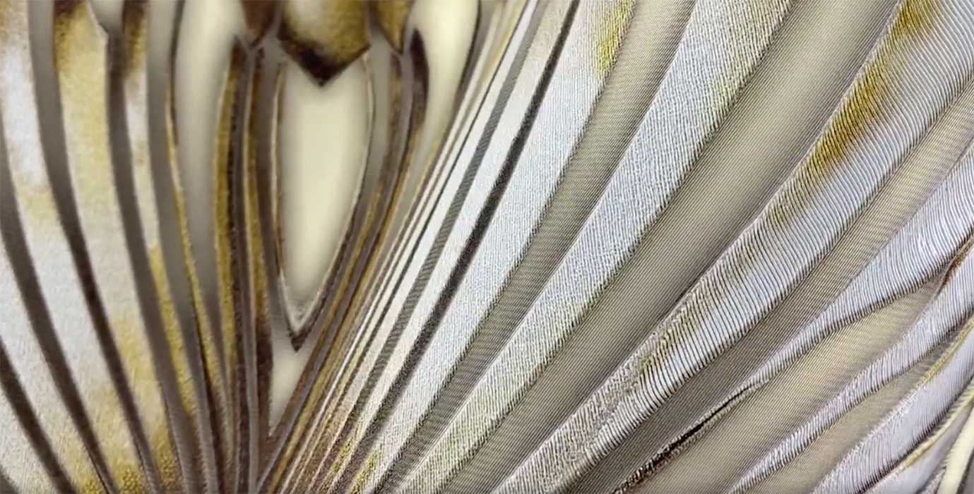 Carta da parati Roberto Cavalli Foglie Luxury 3