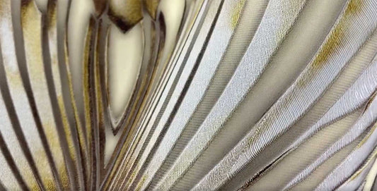 Carta da parati Roberto Cavalli Foglie Luxury 3