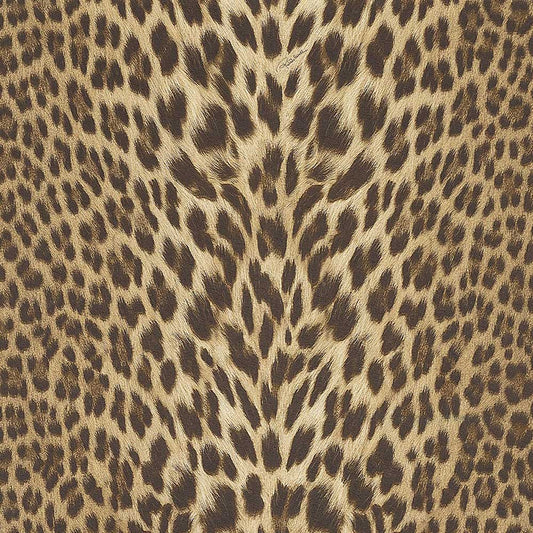 Carta da parati Roberto Cavalli Leopard Luxury 04