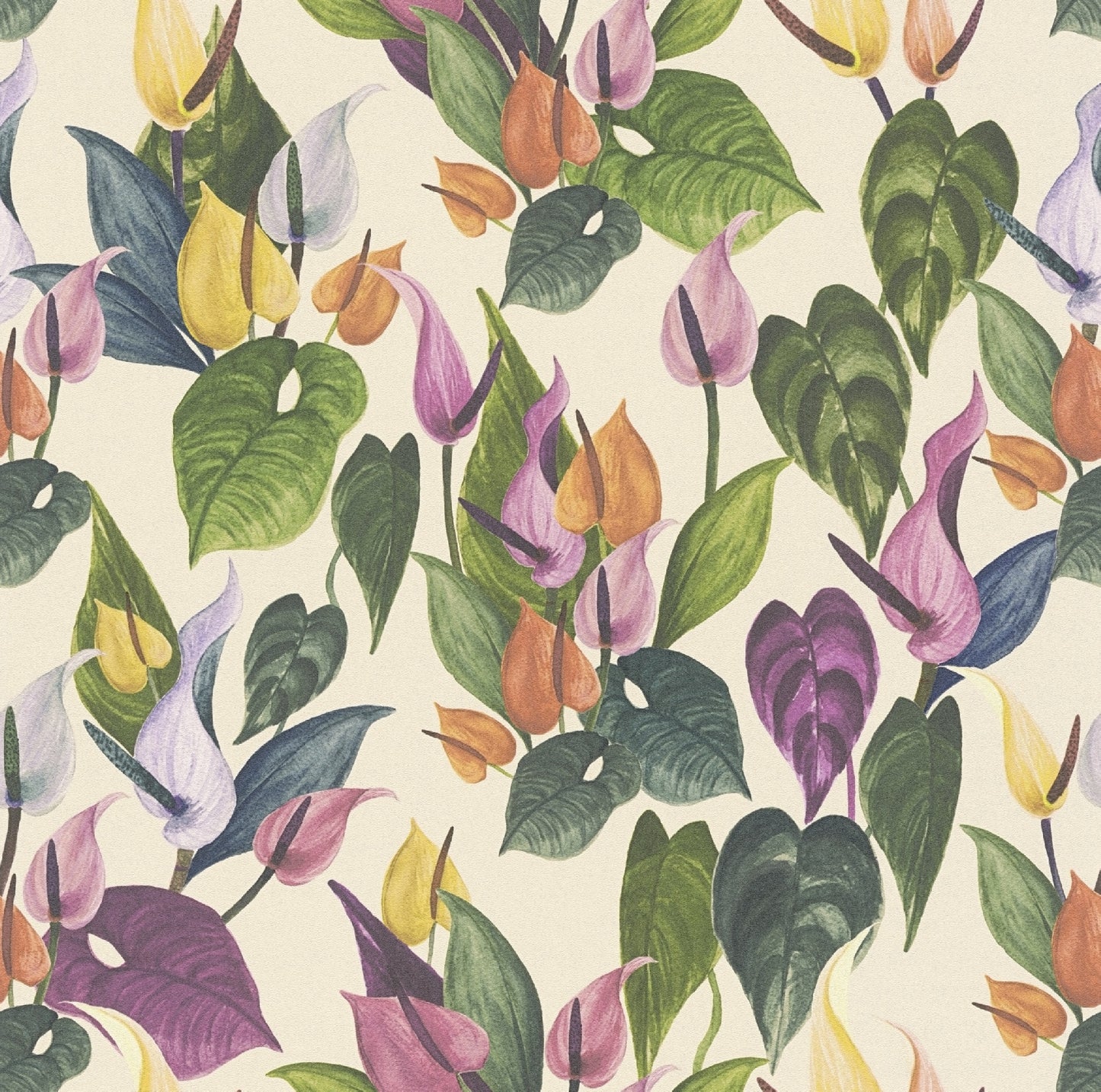 Carta da parati Floreale Anthurium 1
