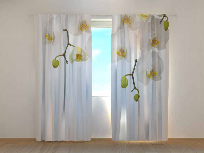 Tenda classica Orchidee Bianche decorativa