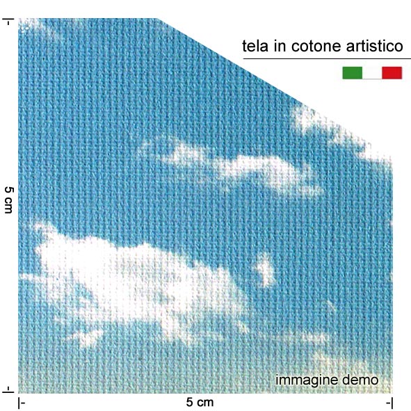 Quadro Ninfea
