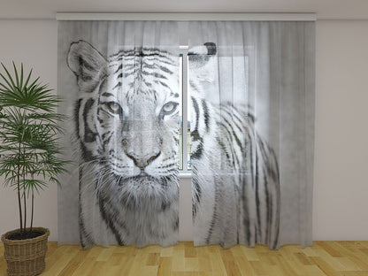 Tenda classica Tigre Bianca decorativa