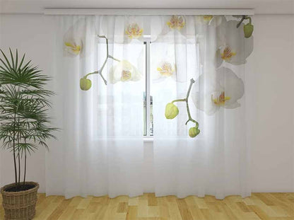 Tenda classica Orchidee Bianche decorativa